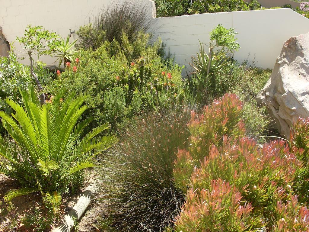 Napthali Lodge Simonʼs Town Exteriör bild